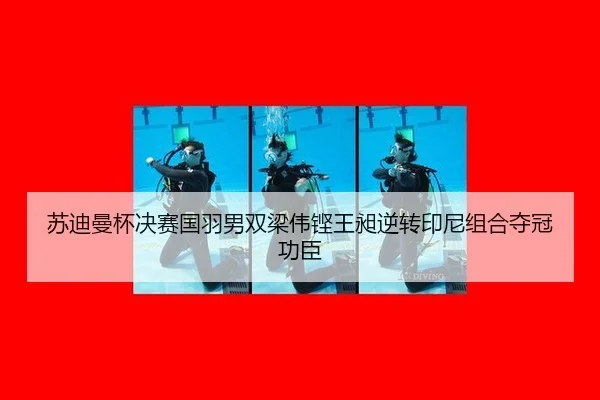 su-di-man-bei-jue-sai-guo-yu-nan-shuang-liang-wei-keng-wang-chang-ni-zhuan-yin-ni-zu-he-duo-guan-gong-chen-3-213.jpg